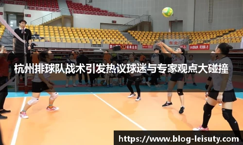 杭州排球队战术引发热议球迷与专家观点大碰撞